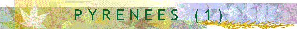 P Y R E N E E S   ( 1 )